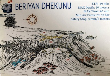 Beriyan Dhekunu Thila